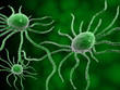 cancer cell