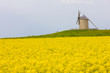 windmill, Moidrey, Brittany, France windmill, Moidrey, Brittany, France