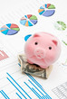 Piggy bank and charts