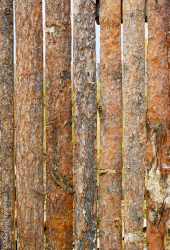 Photo: Fence from slab pines Fence from slab pines