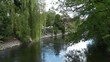 Video: Flußlauf mit Bäumen Flußlauf mit Bäumen