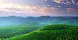 Green mountains hills Green mountains hills