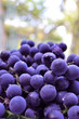 red grape