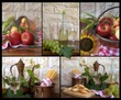 collage con foglia in rillievo