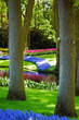 Beautiful sunny morning at the Keukenhof Gardens