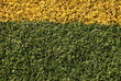 Kunstrasen Rasen Wiese grün gelb Hintergrund  Linien Linie Sport