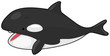 Killer Whale
