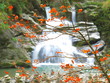 Herbstlaub mittig vor Wasserfall