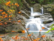 Herbstlaub seitlich vor Wasserfall
