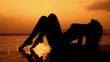 Silhouette of the girl at sunset