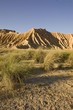 Bardenas