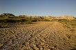Bardenas