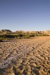 Bardenas