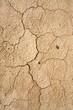 Bardenas