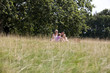 A family sitting together on the grass