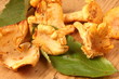 girolles, chanterelles