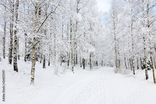 Photo: Winter footpaths Winter footpaths