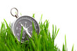 compass in green grass compass in green grass