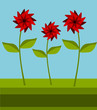Red flowers