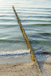 Am Meer - At the Ocean