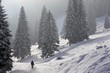 Winterwanderung