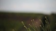 Windland 09