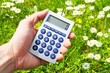 ecological accounting