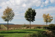Foto: Herbstimpressionen Herbstimpressionen