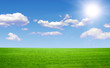 Photo: Field Field