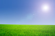 Photo: Field Field