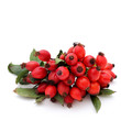 Rose hips