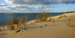 Photo : herbes sauvages sur la dune - Pyla herbes sauvages sur la dune - Pyla