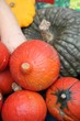 Autumn vegetables
