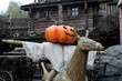 halloween 7 halloween 7