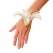 female hand with lily flower