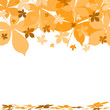autumn background