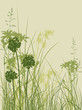 green grass background green grass background