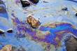 water with patches of gasoline and oil