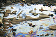 water with patches of gasoline and oil