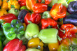 Sweet Bell Peppers Assorted Colors Sweet Bell Peppers Assorted Colors
