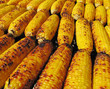 Corn on Grill