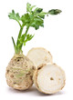 Fresh celery with root