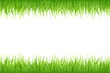Grass On White Background Grass On White Background
