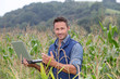 Agronomist analysing cereals with laptop computer Agronomist analysing cereals with laptop computer