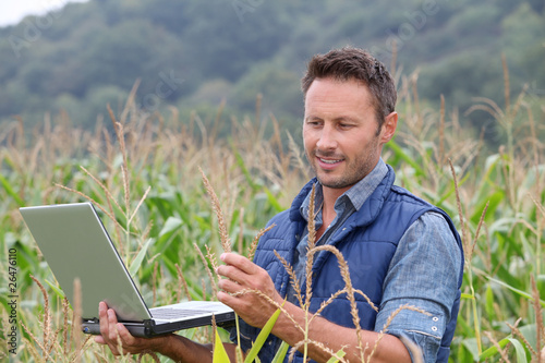 Photo: Agronomist analysing cereals with laptop computer Agronomist analysing cereals with laptop computer