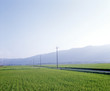 田舎風景
