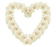 Beautiful heart made of light yellow orchids Beautiful heart made of light yellow orchids