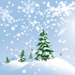 Schneelandschaft bei frostigem Wetter