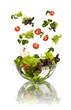 Photo en ligne au meilleur prix fresh vegetables falling into tho bowl