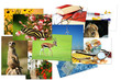 Fotogalerie 18